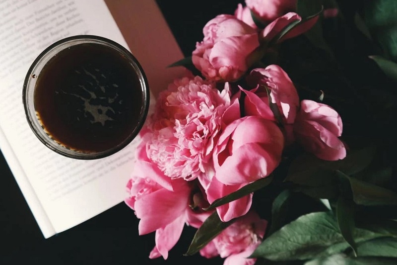 peonies.jpg