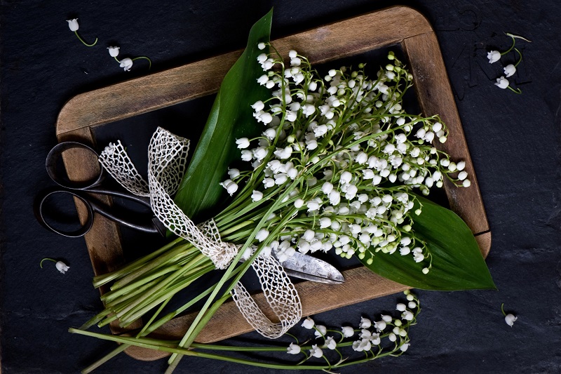 Lilies_of_the_valley_Bouquets_516406_2560x1763.jpg