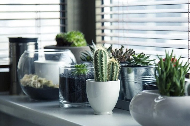 pots-716579_960_720.jpg