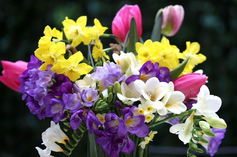 Colorful-flowers-bouquet-tulips-daffodils-freesia_1920x1440.jpg