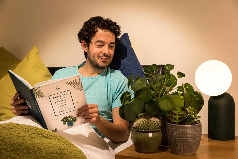 __opt__aboutcom__coeus__resources__content_migration__mnn__images__2019__11__SpareRoom-in_bed_with_plants-e7604c586a784058a94ce001579811e0.jpg