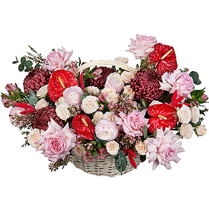 Velvet Passion with delivery Vologda