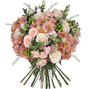 Harmony (Deluxe) with delivery Vologda