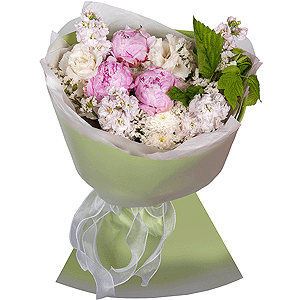 Tender Peonies with delivery Vologda