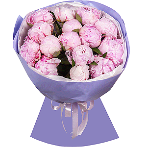 Bouquet of 15 tender peonies with delivery Vologda