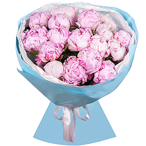 Bouquet of 17 tender peonies with delivery Vologda