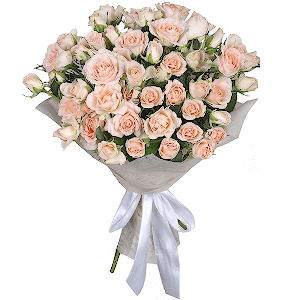 9 Spray roses with delivery Vologda