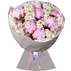 Peony Lace with delivery Vologda