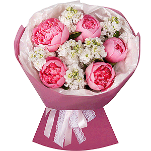 Peony Queen with delivery Vologda