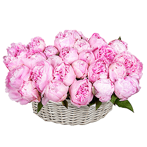 Peony pink - 39, Medium Basket, Oasis