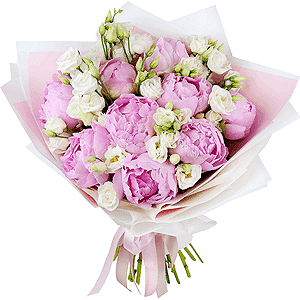 Pink champagne with delivery Vologda