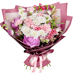 Amelie with delivery Vologda