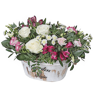 Dream with delivery Vologda