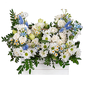Blue-Eyed Beauty with delivery Vologda