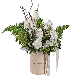 Kupala&rsquo;s Star with delivery Vologda