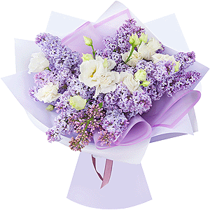 Lilac whisper with delivery Vologda