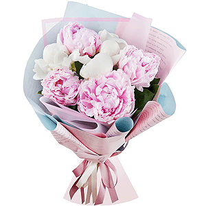 Delicate peonies with delivery Vologda