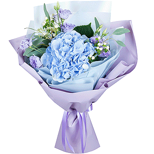Viennese Waltz with delivery Vologda