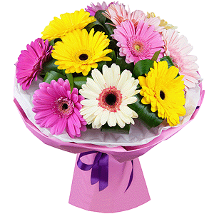 Playful gerberas with delivery Vologda