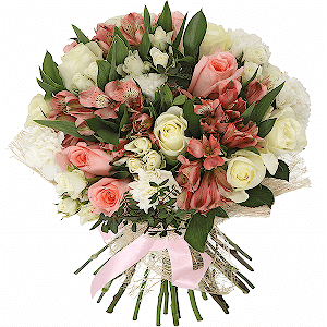 Renaissance with delivery Vologda