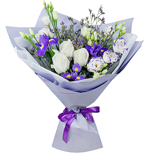 Sapphire radiance with delivery Vologda