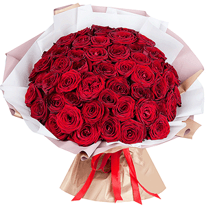 Red rose 40 cm - 81, Wrapping Paper