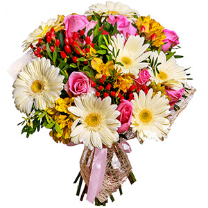 Сheerful Mind with delivery Vologda