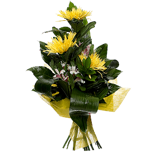 Bouquet for a Real Man with delivery Vologda
