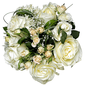 White rose 50 cm - 7, Spray rose: white, cream, light pink 50 cm - 4, Gypsophila - 1, Beargrass (1 pc.), Ruscus, Ribbon