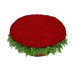 1001 Red roses with delivery Vologda