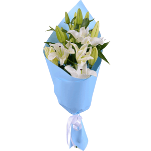 Arrangement of 3 white lilies with delivery Vologda