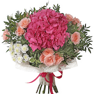 In the Centre of Attention with delivery Vologda