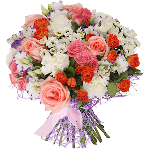 Morocco with delivery Vologda