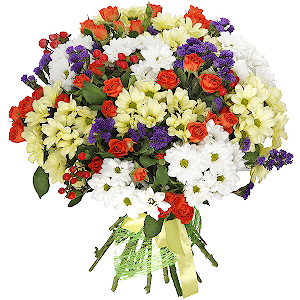 Wonderful valley with delivery Vologda