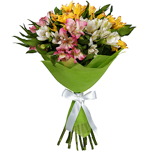 For the best Teacher with delivery Vologda