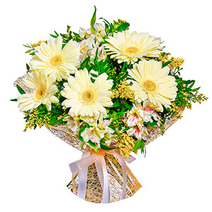 White Sun with delivery Vologda