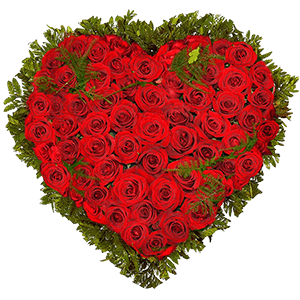 Heart of roses with delivery Vologda