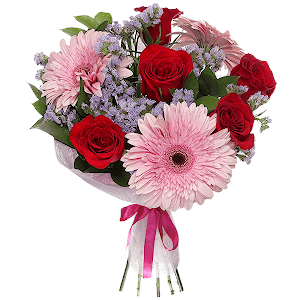 Soft Kiss with delivery Vologda