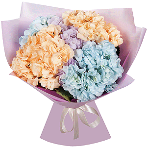 Arrangement of 5 hydrangea flowers with delivery Vologda