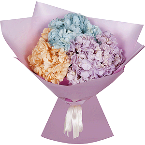 Arrangement of 3 hydrangea flowers with delivery Vologda