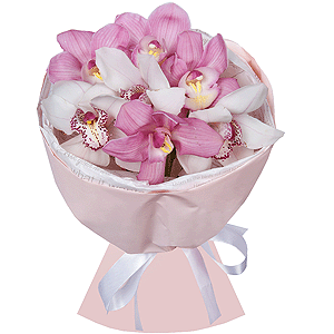 Arrangement of 7 orchids with delivery Vologda
