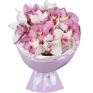 Arrangement of 15 orchids with delivery Vologda