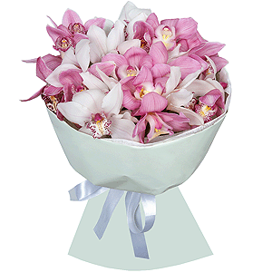Arrangement of 21 orchids with delivery Vologda