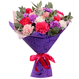Carnations (21 pc.) with delivery Vologda