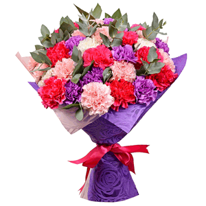 Carnations (35 pc.) with delivery Vologda