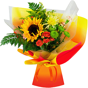 Golden sunset with delivery Vologda