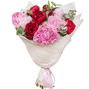 Peony pink - 11, Eucalyptus Cinerea, Wrapping Paper, Wrapping Paper, Ribbon