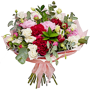 Sensation with delivery Vologda