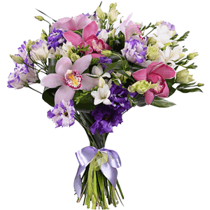 Arrangement of orchids and freesia with delivery Vologda