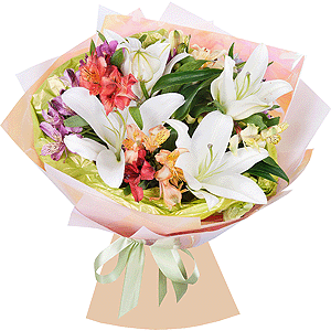 Blooming beauty with delivery Vologda